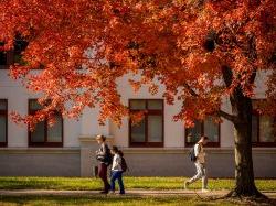 Students walking on campus in fall